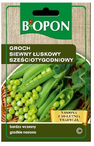 GROCH SIEWNY, ŁUSKOWY. SZEŚCIOTYGODNIOWY 40G GROCH SIEWNY, ŁUSKOWY. SZEŚCIOTYGODNIOWY 40G