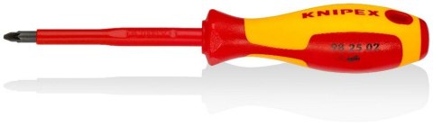 WKRĘTAK POZIDRIV IZOLACJĄ 100 MM PZ2 WKRĘTAK POZIDRIV IZOLACJĄ 100 MM PZ2
