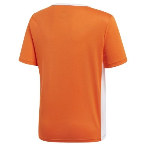 Koszulka adidas Entrada 18 JSY Y Jr CF1043 Koszulka adidas Entrada 18 JSY Y Jr CF1043