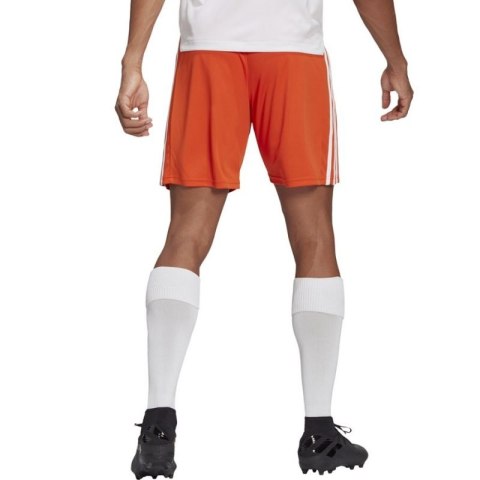 Spodenki adidas Squadra 21 Short M GN8084