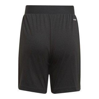 Spodenki adidas Tiro 21 Jr GN2161