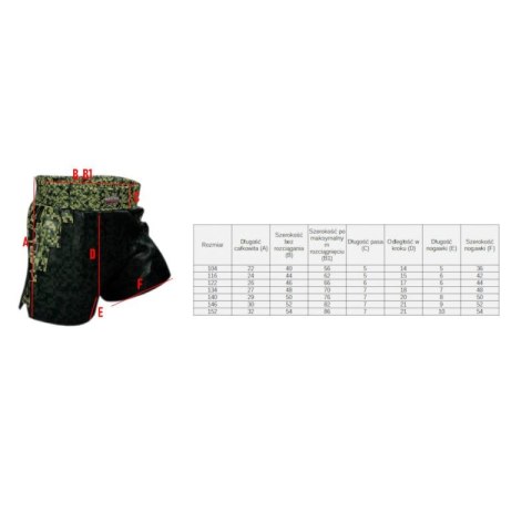 Spodenki Masters treningowe Junior Mfc "Mine" Jr 06692-140 Spodenki Masters treningowe Junior Mfc "Mine" Jr 06692-140