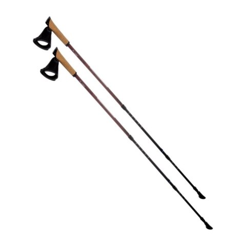 Kije Nordic walking Elbrus Cliogo 92800385398 Kije Nordic walking Elbrus Cliogo 92800385398
