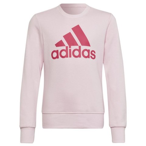 Bluza adidas Big Logo SWT Jr HM8709 Bluza adidas Big Logo SWT Jr HM8709