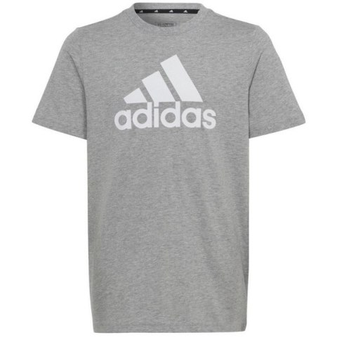 Koszulka adidas Big Logo Tee Jr HR6379 Koszulka adidas Big Logo Tee Jr HR6379