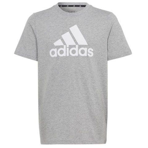 Koszulka adidas Big Logo Tee Jr HR6379 Koszulka adidas Big Logo Tee Jr HR6379