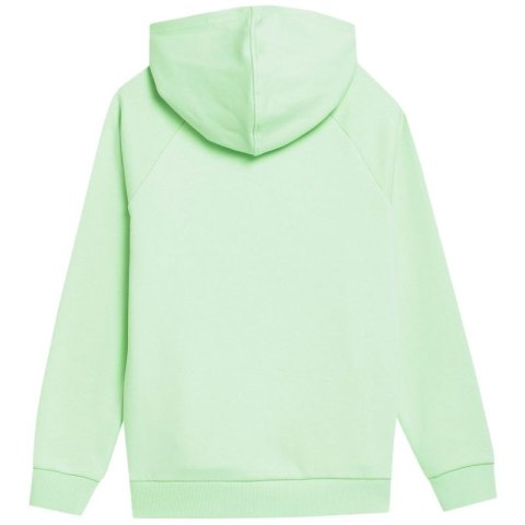 Bluza 4F Jr 4FJSS23TSWSM220 42S Bluza 4F Jr 4FJSS23TSWSM220 42S