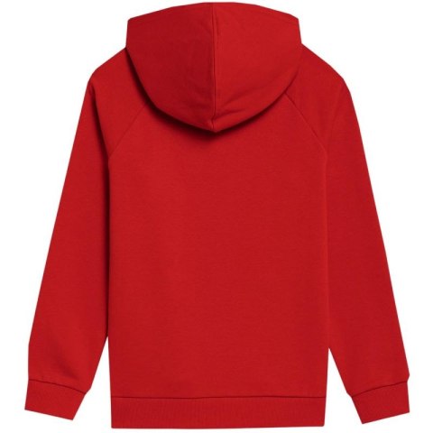 Bluza 4F Jr 4FJSS23TSWSM220 62S Bluza 4F Jr 4FJSS23TSWSM220 62S