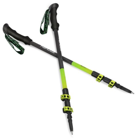Kije trekkingowe Spokey Carbon SPK-940975