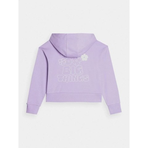Bluza 4F Jr 4FJAW23TSWSF645-52S Bluza 4F Jr 4FJAW23TSWSF645-52S