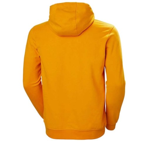 Bluza Helly Hansen Logo Hoodie M 33977-328 Bluza Helly Hansen Logo Hoodie M 33977-328