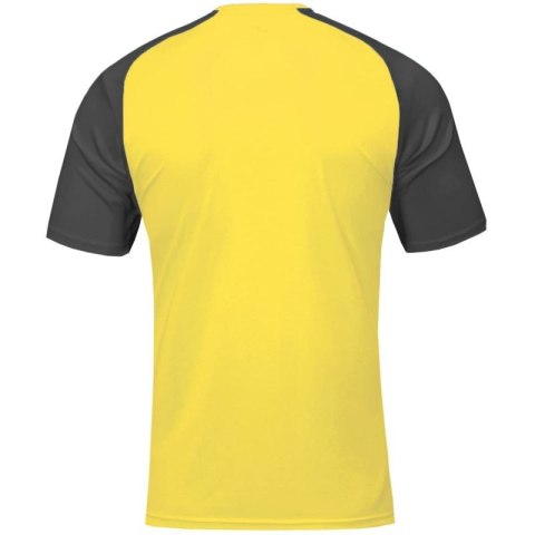 Koszulka piłkarska Joma Academy IV Sleeve 101968.901