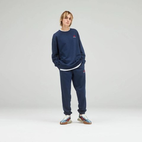 Bluza New Balance NB Essentials Uni-Ssentials C NGO U UT21501NGO