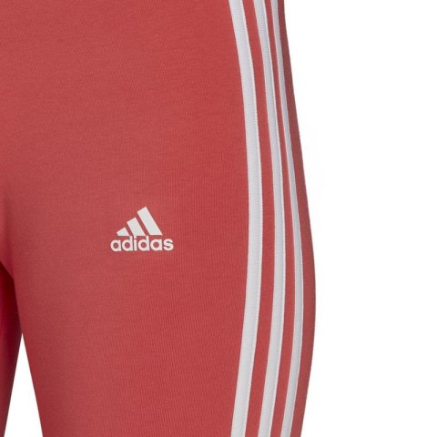 Spodenki adidas Tight 3-Stripes Bike Shorts W HF1862 Spodenki adidas Tight 3-Stripes Bike Shorts W HF1862