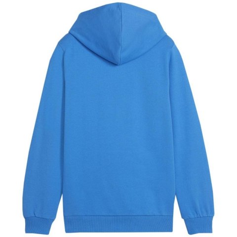 Bluza Puma Team Goal Casuals Hoddy Jr 658619 02 Bluza Puma Team Goal Casuals Hoddy Jr 658619 02