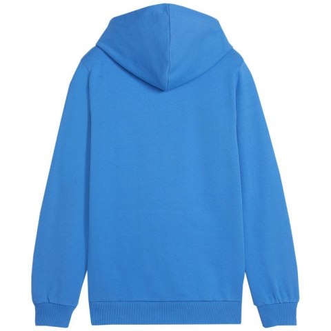 Bluza Puma Team Goal Casuals Hoddy Jr 658619 02 Bluza Puma Team Goal Casuals Hoddy Jr 658619 02