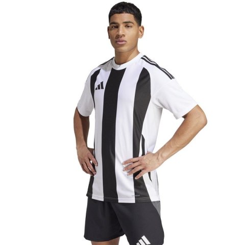 Koszulka adidas Striped 24 JSY M IW2143