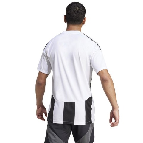 Koszulka adidas Striped 24 JSY M IW2143