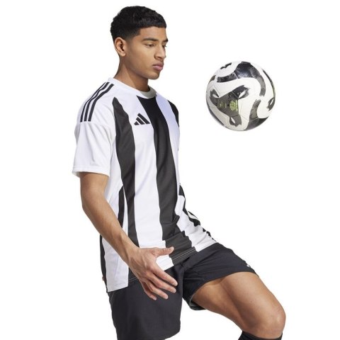 Koszulka adidas Striped 24 JSY M IW2143