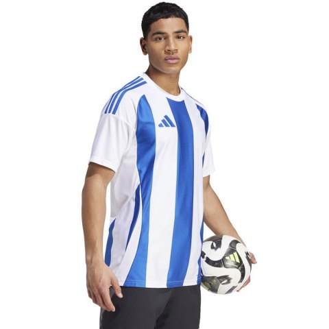 Koszulka adidas Striped 24 JSY M IW2144