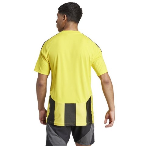 Koszulka adidas Striped 24 JSY M IW2146