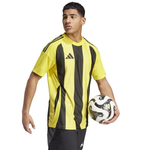 Koszulka adidas Striped 24 JSY M IW2146