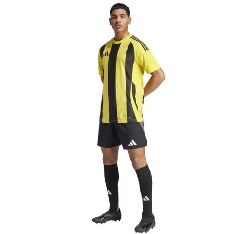 Koszulka adidas Striped 24 JSY M IW2146