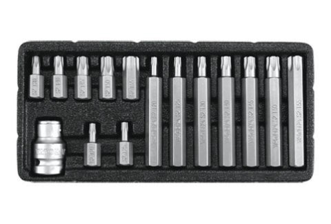 KOMPLET KLUCZY TORX T20-T55 15SZTUK KOMPLET KLUCZY TORX T20-T55 15SZTUK