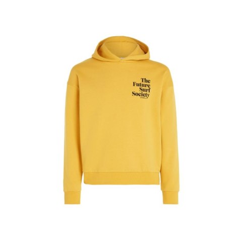 Bluza O'Neill Future Surf Society Hoodie W 92800613435 Bluza O'Neill Future Surf Society Hoodie W 92800613435