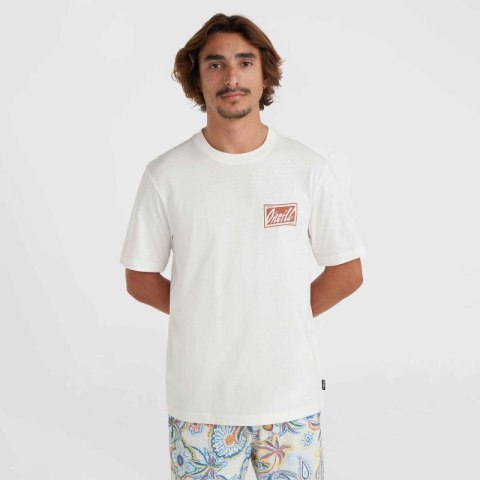 Koszulka O'Neill Beach Graphic T-Shirt M 92800613968 Koszulka O'Neill Beach Graphic T-Shirt M 92800613968