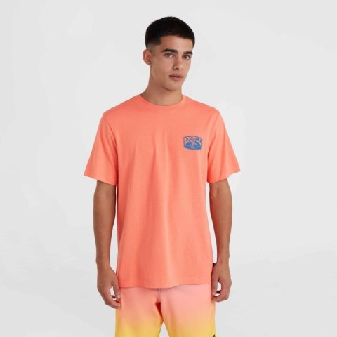 Koszulka O'Neill Beach Graphic T-Shirt M 92800613976 Koszulka O'Neill Beach Graphic T-Shirt M 92800613976