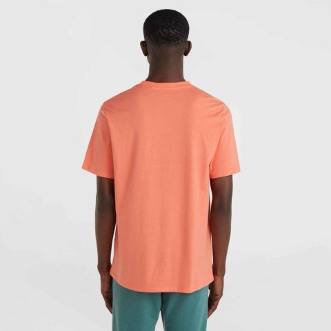 Koszulka O'Neill Cali Original T-Shirt M 92800613165 Koszulka O'Neill Cali Original T-Shirt M 92800613165