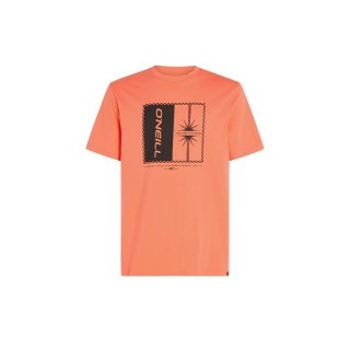 Koszulka O'Neill Mix & Match Palm T-Shirt M 92800613905