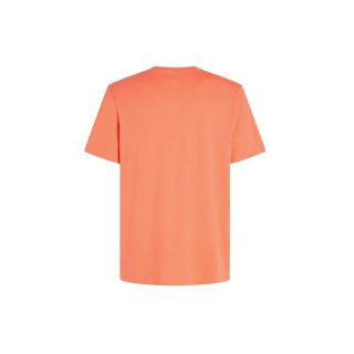 Koszulka O'Neill Mix & Match Palm T-Shirt M 92800613905