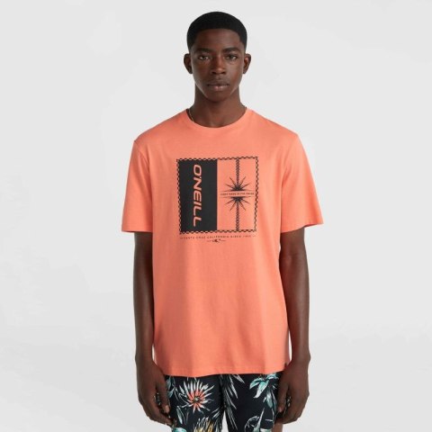 Koszulka O'Neill Mix & Match Palm T-Shirt M 92800613905 Koszulka O'Neill Mix & Match Palm T-Shirt M 92800613905