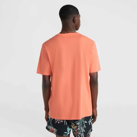 Koszulka O'Neill Mix & Match Palm T-Shirt M 92800613905 Koszulka O'Neill Mix & Match Palm T-Shirt M 92800613905