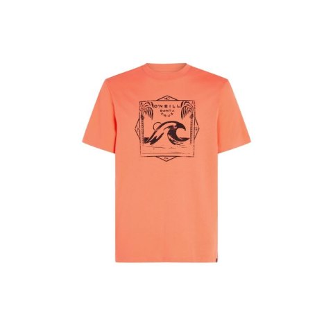 Koszulka O'Neill Mix & Match Wave T-Shirt M 92800613917 Koszulka O'Neill Mix & Match Wave T-Shirt M 92800613917