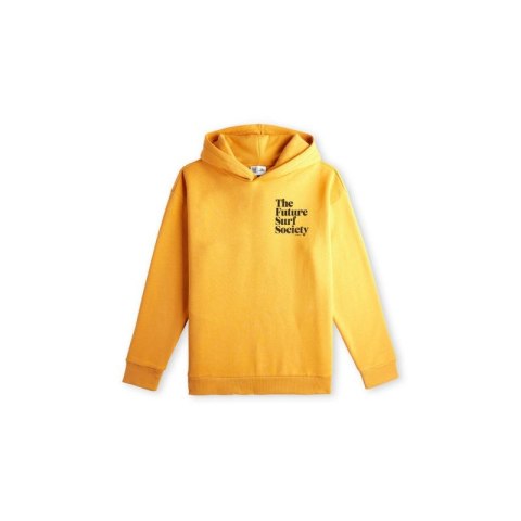 Bluza O'Neill Future Surf Society Hoodie Jr 92800614979 Bluza O'Neill Future Surf Society Hoodie Jr 92800614979