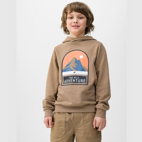 Bluza 4F Jr 4FJWSS24TSWSM0933 81S Bluza 4F Jr 4FJWSS24TSWSM0933 81S