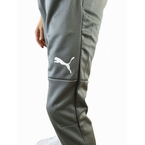 Spodnie Puma Training M 65738 013 Spodnie Puma Training M 65738 013