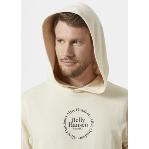 Bluza Helly Hansen Core Graphic Sweat Hoodie M 53924 034 Bluza Helly Hansen Core Graphic Sweat Hoodie M 53924 034