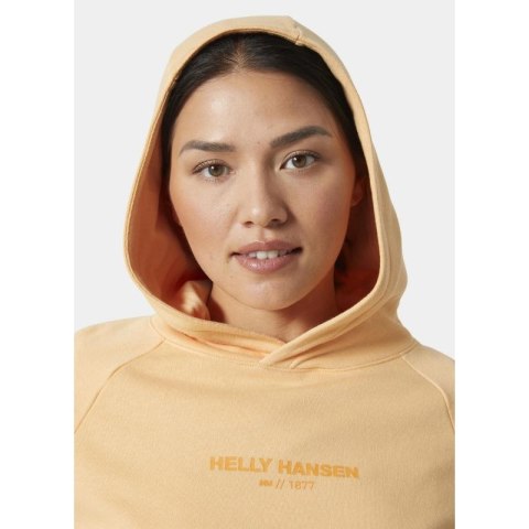 Bluza Helly Hansen z kapturem W Core Hoodie W 54033 316 Bluza Helly Hansen z kapturem W Core Hoodie W 54033 316