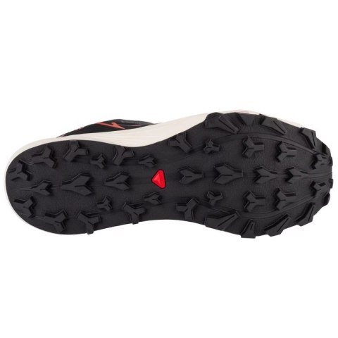 Buty Salomon Thundercross GTX M 476845