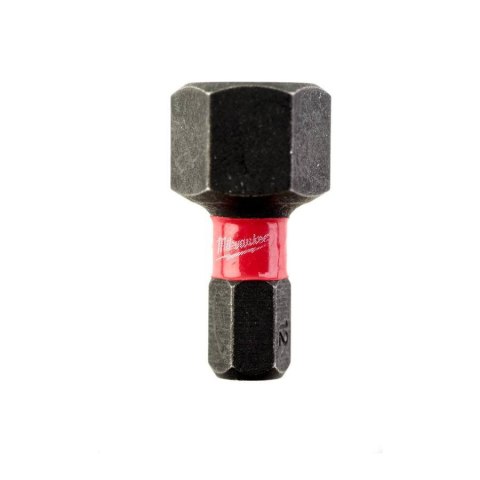 BIT, GROT, KOŃCÓWKA HEX10 25MM 2 SZT BIT, GROT, KOŃCÓWKA HEX10 25MM 2 SZT
