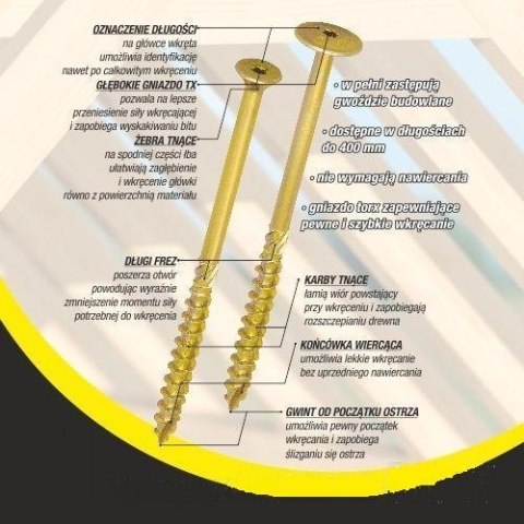WKRĘT DO DREWNA Z KOŁNIERZEM NA TORX OCYNKOWANY 10*100MM T40 WKRĘT DO DREWNA Z KOŁNIERZEM NA TORX OCYNKOWANY 10*100MM T40