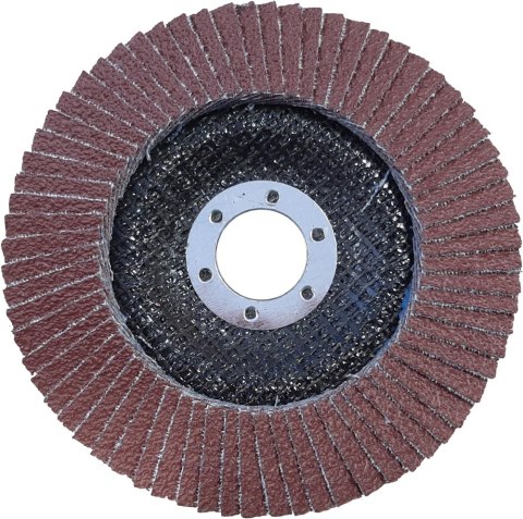 LAMELKA KORUNDOWA EPM PRO-X GRANULACJA 40 125MM LAMELKA KORUNDOWA EPM PRO-X GRANULACJA 40 125MM