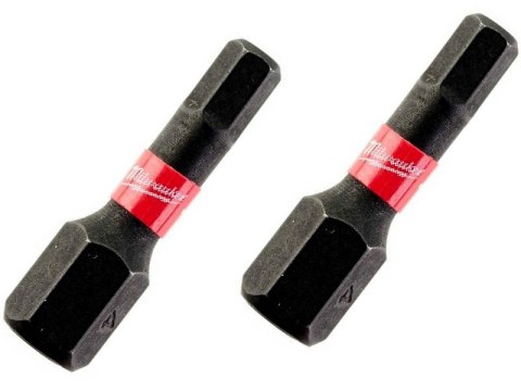BIT, GROT, KOŃCÓWKA HEX4 25MM 2 SZT BIT, GROT, KOŃCÓWKA HEX4 25MM 2 SZT