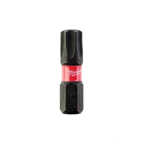 BIT, GROT, KOŃCÓWKA TORX TX40 25MM 2 SZT. BIT, GROT, KOŃCÓWKA TORX TX40 25MM 2 SZT.