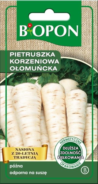 PIETRUSZKA KORZENIOWA OŁOMUŃCKA 3G