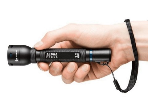 LATARKA RĘCZNA FALCON EYE 2*AA LATARKA RĘCZNA FALCON EYE 2*AA